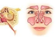 Consultatie medicala si extractie dop cerumen: 249 lei